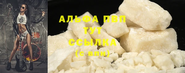 сатива Беломорск