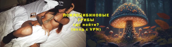 сатива Беломорск