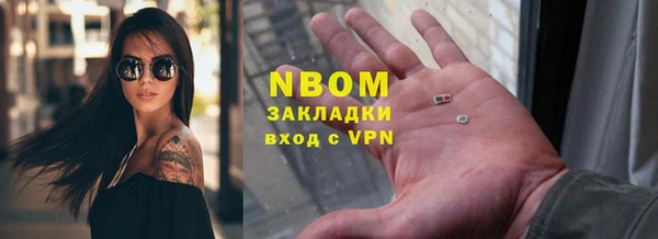 сатива Беломорск