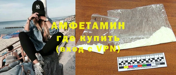 сатива Беломорск