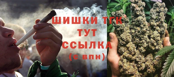 сатива Беломорск