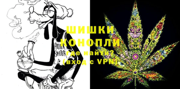 сатива Беломорск