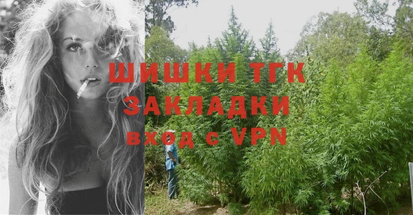 сатива Беломорск