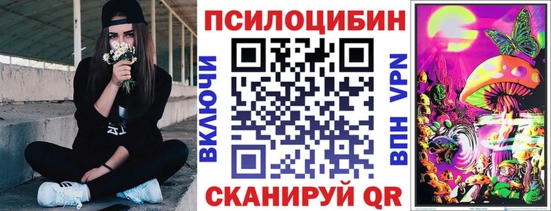Псилоцибиновые грибы Psilocybe ссылка на мегу ONION Волгореченск
